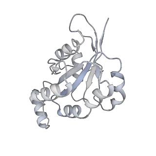 30802_7dpa_E_v1-0
Cryo-EM structure of the human ELMO1-DOCK5-Rac1 complex