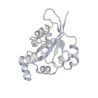 30802_7dpa_E_v1-1
Cryo-EM structure of the human ELMO1-DOCK5-Rac1 complex