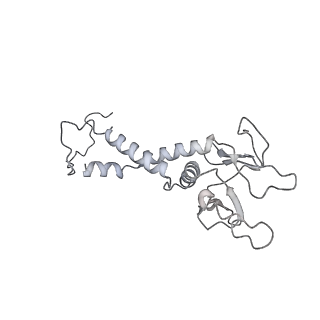 30802_7dpa_F_v1-0
Cryo-EM structure of the human ELMO1-DOCK5-Rac1 complex