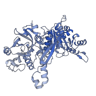 30811_7dpw_A_v1-0
Structural basis for ligand binding modes of CTP synthase