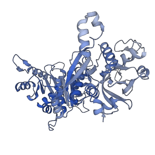 30811_7dpw_B_v1-0
Structural basis for ligand binding modes of CTP synthase