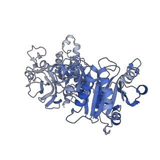 30811_7dpw_C_v1-0
Structural basis for ligand binding modes of CTP synthase