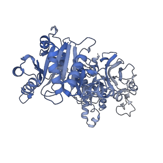 30811_7dpw_D_v1-0
Structural basis for ligand binding modes of CTP synthase