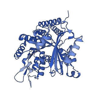 7973_6dpu_A_v1-2
Undecorated GMPCPP microtubule