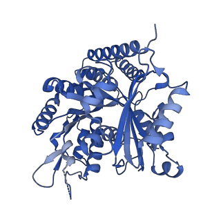 7973_6dpu_A_v1-3
Undecorated GMPCPP microtubule