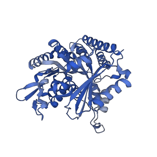 7973_6dpu_D_v1-3
Undecorated GMPCPP microtubule