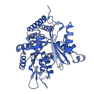 7973_6dpu_E_v1-3
Undecorated GMPCPP microtubule