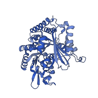 7973_6dpu_F_v1-2
Undecorated GMPCPP microtubule
