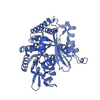 7973_6dpu_F_v1-3
Undecorated GMPCPP microtubule