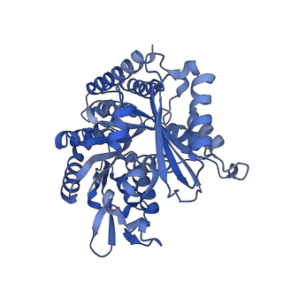 7973_6dpu_G_v1-2
Undecorated GMPCPP microtubule