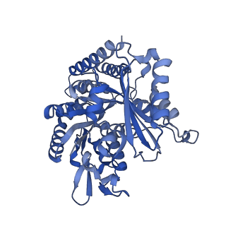 7973_6dpu_G_v1-3
Undecorated GMPCPP microtubule