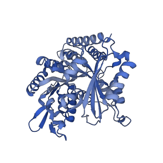 7973_6dpu_H_v1-2
Undecorated GMPCPP microtubule