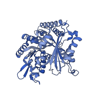 7973_6dpu_H_v1-3
Undecorated GMPCPP microtubule