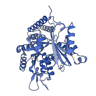 7973_6dpu_J_v1-3
Undecorated GMPCPP microtubule