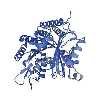 7973_6dpu_K_v1-2
Undecorated GMPCPP microtubule
