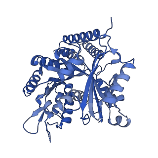 7973_6dpu_K_v1-3
Undecorated GMPCPP microtubule