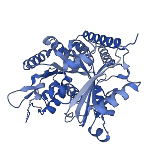 7973_6dpu_L_v1-3
Undecorated GMPCPP microtubule