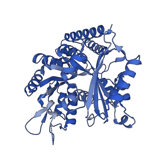 7974_6dpv_A_v1-3
Undecorated GDP microtubule