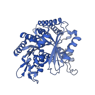 7974_6dpv_B_v1-3
Undecorated GDP microtubule