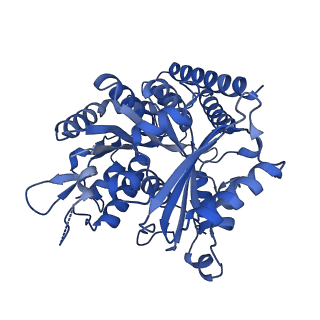 7974_6dpv_C_v1-3
Undecorated GDP microtubule