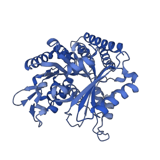 7974_6dpv_D_v1-3
Undecorated GDP microtubule