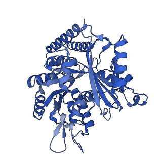 7974_6dpv_E_v1-3
Undecorated GDP microtubule