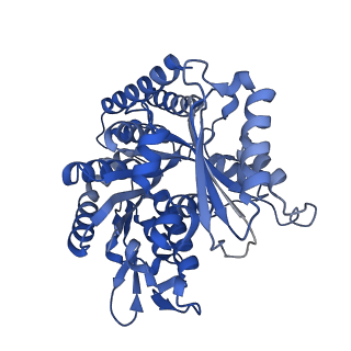 7974_6dpv_F_v1-3
Undecorated GDP microtubule