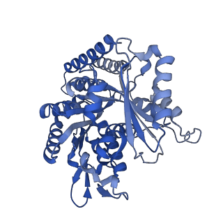 7974_6dpv_G_v1-3
Undecorated GDP microtubule