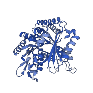 7974_6dpv_H_v1-3
Undecorated GDP microtubule