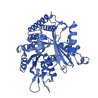 7974_6dpv_J_v1-3
Undecorated GDP microtubule