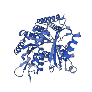 7974_6dpv_K_v1-3
Undecorated GDP microtubule