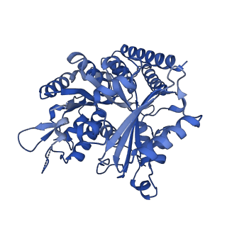 7974_6dpv_L_v1-3
Undecorated GDP microtubule