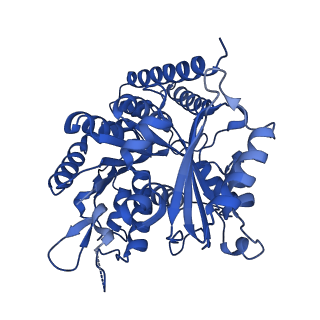 7975_6dpw_A_v1-3
Undecorated GTPgammaS microtubule