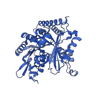 7975_6dpw_B_v1-3
Undecorated GTPgammaS microtubule