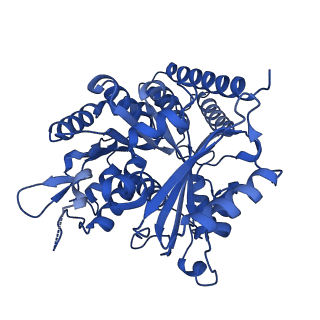 7975_6dpw_C_v1-3
Undecorated GTPgammaS microtubule