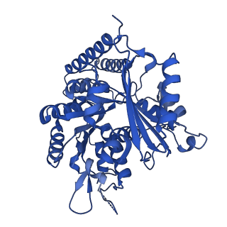 7975_6dpw_E_v1-3
Undecorated GTPgammaS microtubule