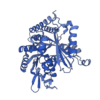 7975_6dpw_F_v1-2
Undecorated GTPgammaS microtubule