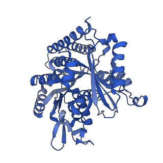 7975_6dpw_G_v1-3
Undecorated GTPgammaS microtubule