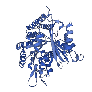 7975_6dpw_J_v1-3
Undecorated GTPgammaS microtubule