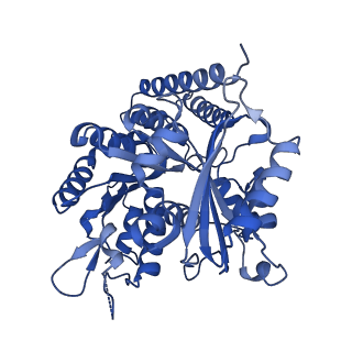 7975_6dpw_K_v1-3
Undecorated GTPgammaS microtubule