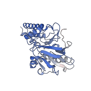 27645_8dq0_A_v1-1
Quorum-sensing receptor RhlR bound to PqsE