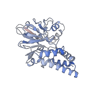 27645_8dq0_B_v1-1
Quorum-sensing receptor RhlR bound to PqsE