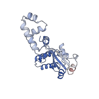 27645_8dq0_C_v1-1
Quorum-sensing receptor RhlR bound to PqsE