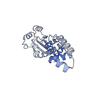 27645_8dq0_D_v1-1
Quorum-sensing receptor RhlR bound to PqsE