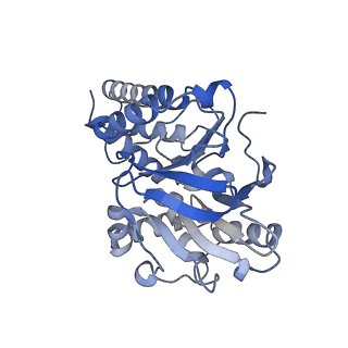27646_8dq1_A_v1-1
Quorum-sensing receptor RhlR bound to PqsE