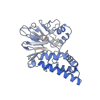 27646_8dq1_B_v1-1
Quorum-sensing receptor RhlR bound to PqsE