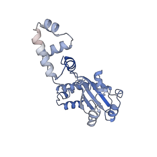 27646_8dq1_C_v1-1
Quorum-sensing receptor RhlR bound to PqsE