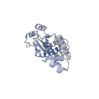 27646_8dq1_D_v1-1
Quorum-sensing receptor RhlR bound to PqsE