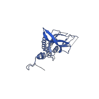 27656_8dql_A_v1-2
CryoEM structure of IglD