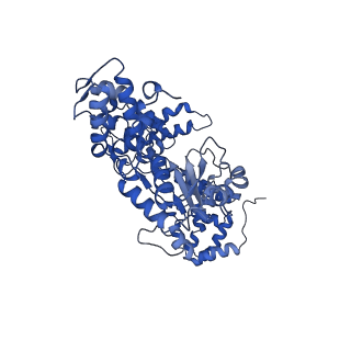 27666_8dqz_A_v1-1
Intermediate state of RFC:PCNA bound to a 3' ss/dsDNA junction